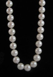 CHOKER LENGTH SOUTH SEA PEARL