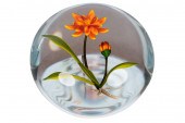CHRIS BUZINI GLASS PAPERWEIGHT