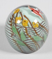CHRIS BUZZINI, ANGELFISH & FLO