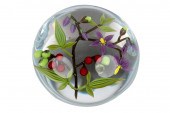 CHRIS BUZZINI GLASS PAPERWEIGH