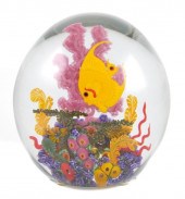 CHRIS HEILMAN, CORAL REEF SERI