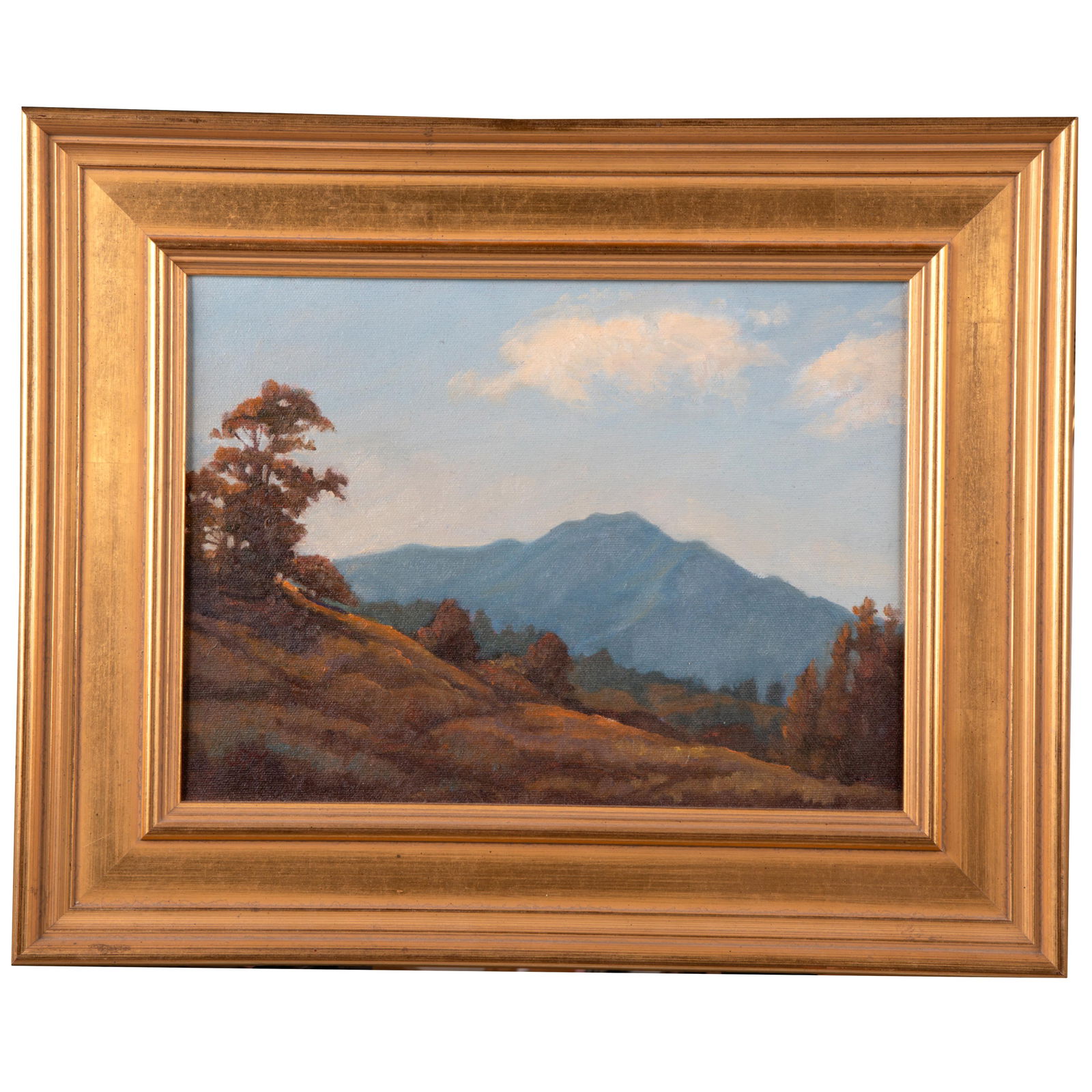 CHRISTIN COY (AMERICAN, 20TH/21ST