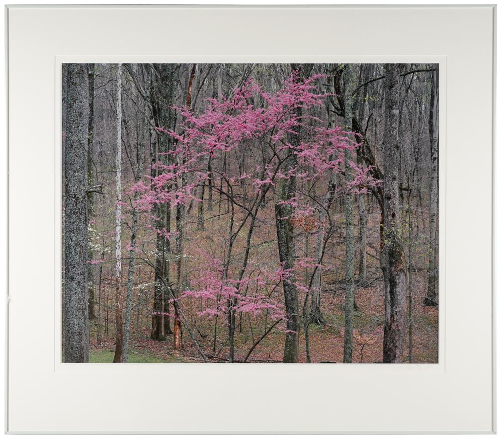 CHRISTOPHER BURKETT (B. 1951):