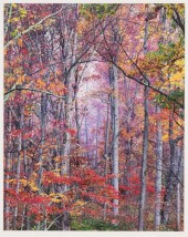 CHRISTOPHER BURKETT COLOR PHOT
