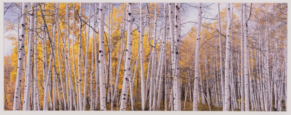 CHRISTOPHER BURKETT HAND-PRINTED