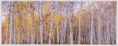 CHRISTOPHER BURKETT HAND-PRINT
