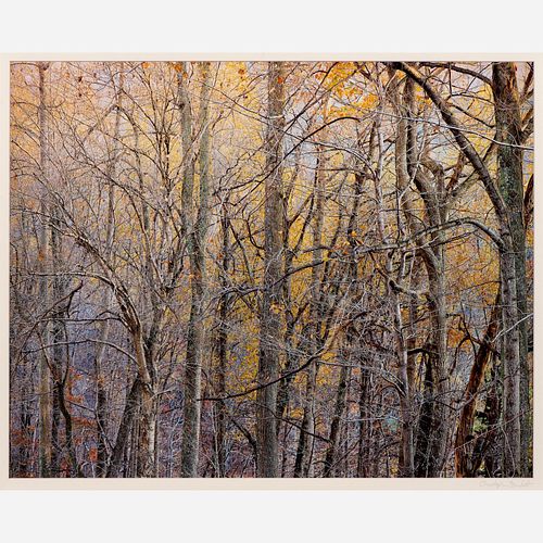 CHRISTOPHER BURKETT / TANGLEWOOD