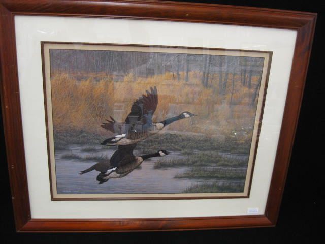 Christopher Forrest lithograph