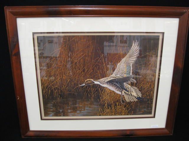 Christopher Forrest Lithograph