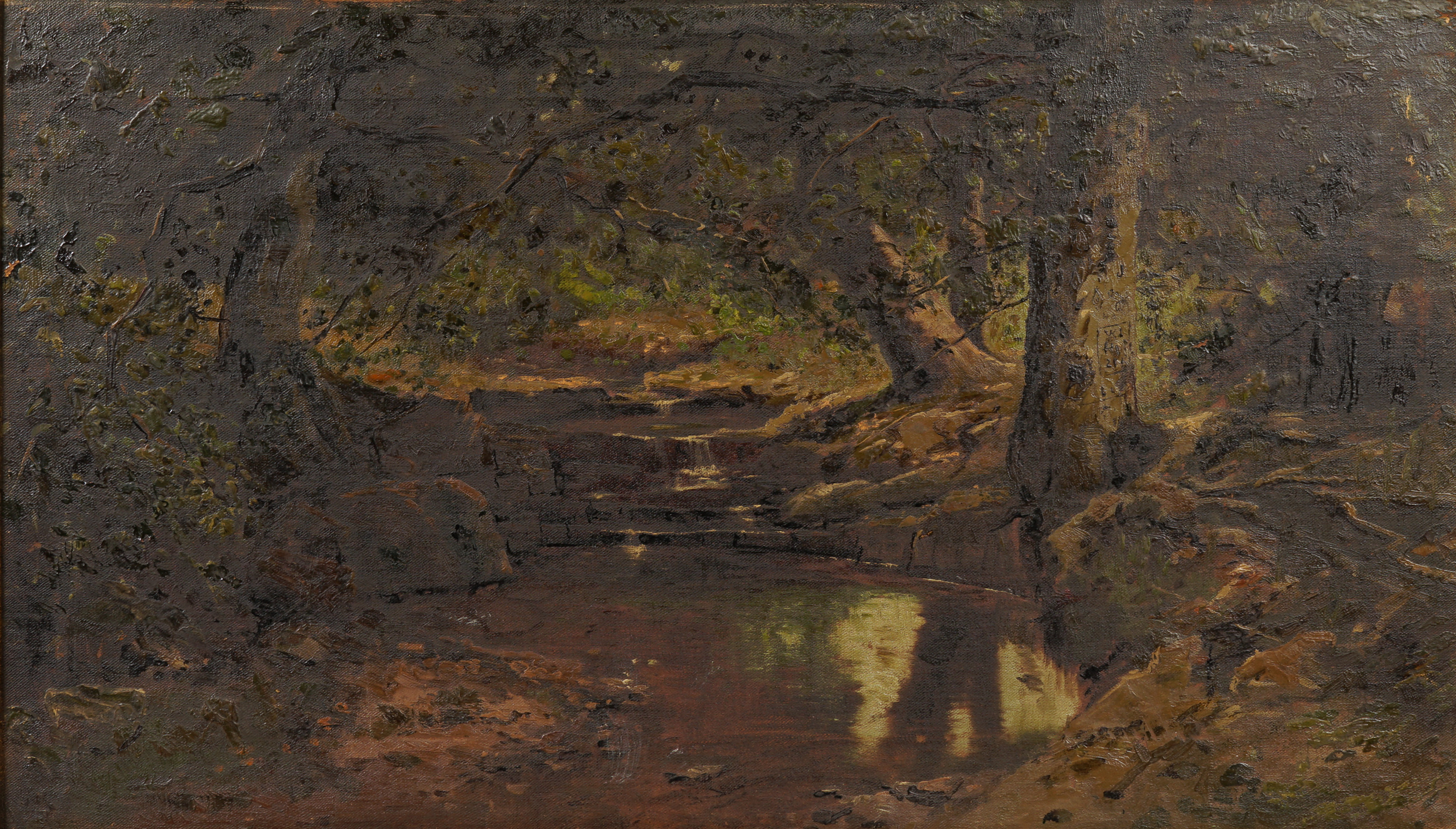 Christopher High Shearer,