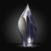 Christopher Ries. Lotus. 2008,