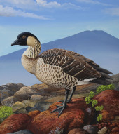 CHUCK RIPPER (B. 1929) "HAWAII