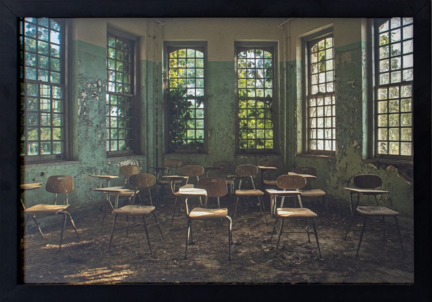 CIBOROWSKI "NATURE'S JURY"
