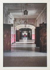 CIBOROWSKI "THE ROSE WARD" CHR