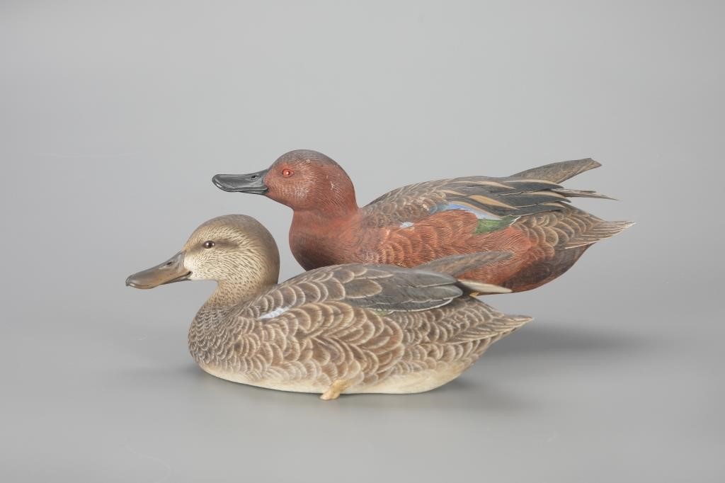 CINNAMON TEAL PAIRJim Sprankle