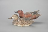 CINNAMON TEAL PAIRJim Sprankle