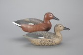CINNAMON TEAL PAIRWilliam "Bil