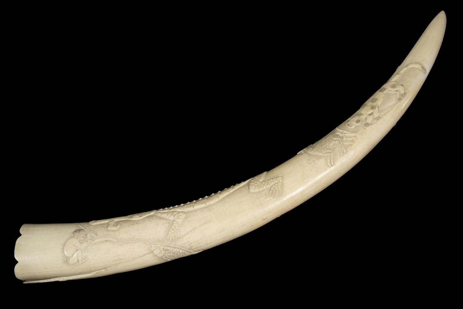 CIRCA 1920 CARVED KONGO BASIN IVORY