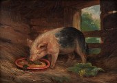 CIRCLE OF JAMES WARD, FEEDING