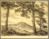 CLAIRE DOONER-PHILLIPS (AMERIC