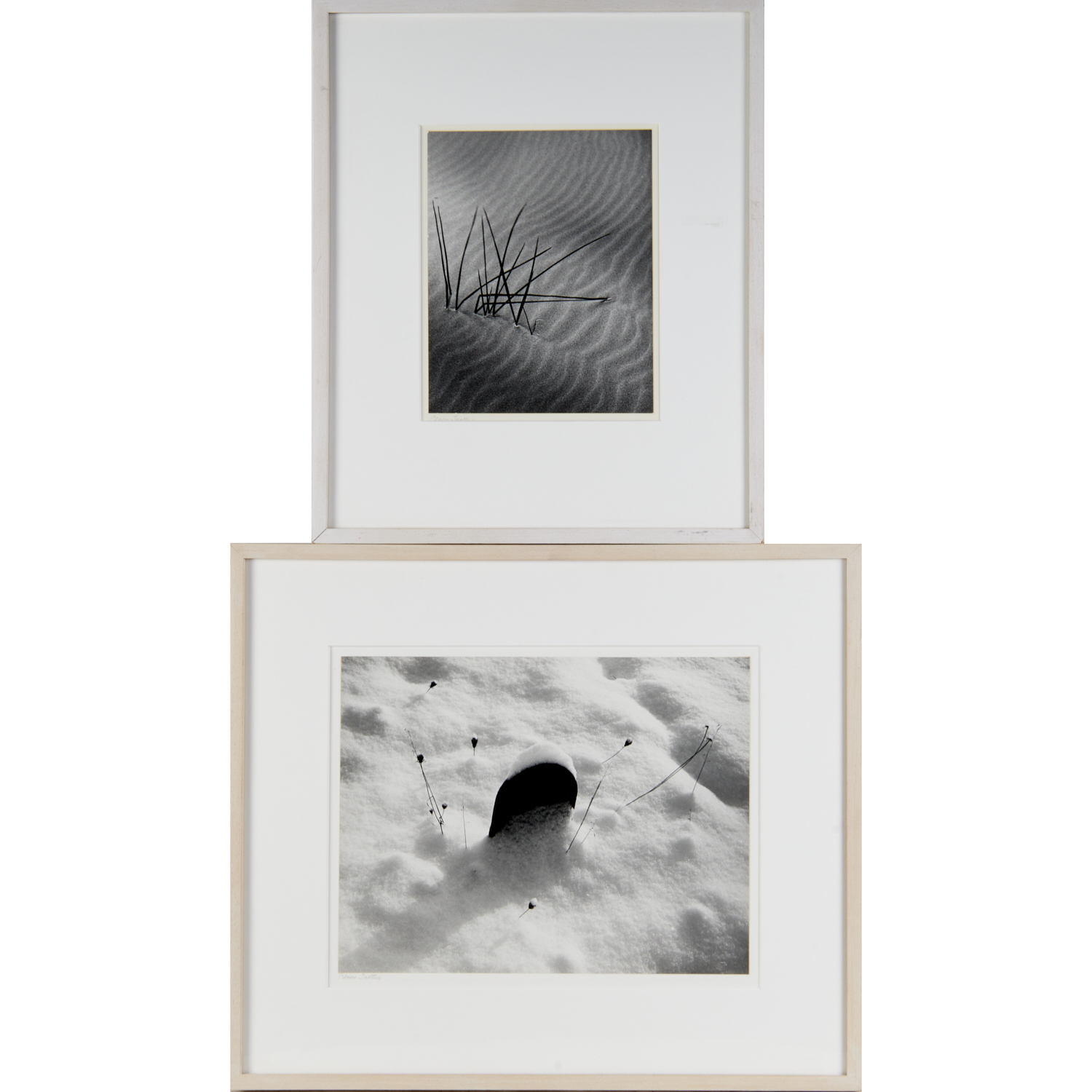 CLAIRE TROTTER, (2) PHOTOGRAPHS