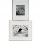 CLAIRE TROTTER, (2) PHOTOGRAPH
