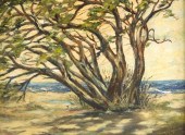 CLARA HAYNES (AMERICAN, 20TH C