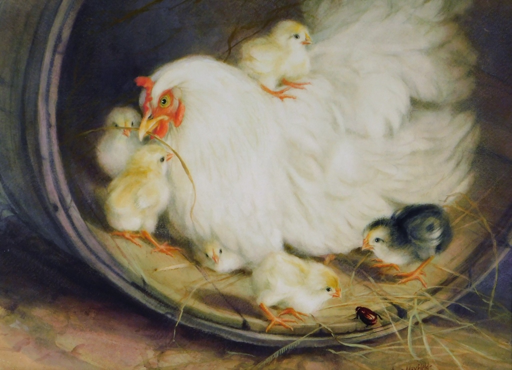 CLARA MAXFIELD FARM GENRE CHICKEN