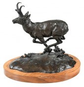 CLARK EVERICE BRONSON WILDLIFE