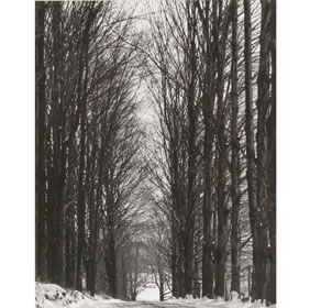 Clemens Kalischer (born 1921 in