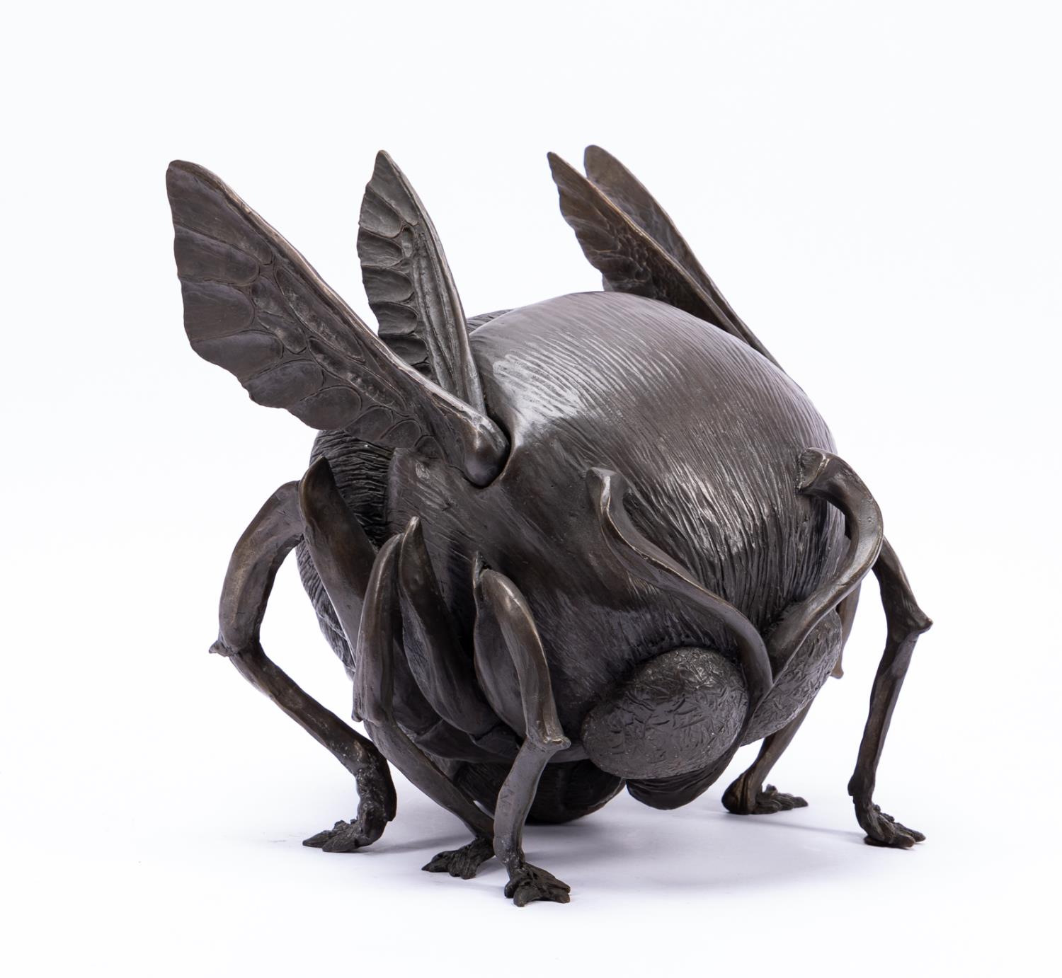 CLIFTON NICHOLSON, BRONZE BUMBLEBEE