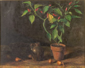 CLIVE MILLER, STILL LIFE WITH