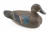 CLOVIS VIZIER BLUE-WINGED TEAL