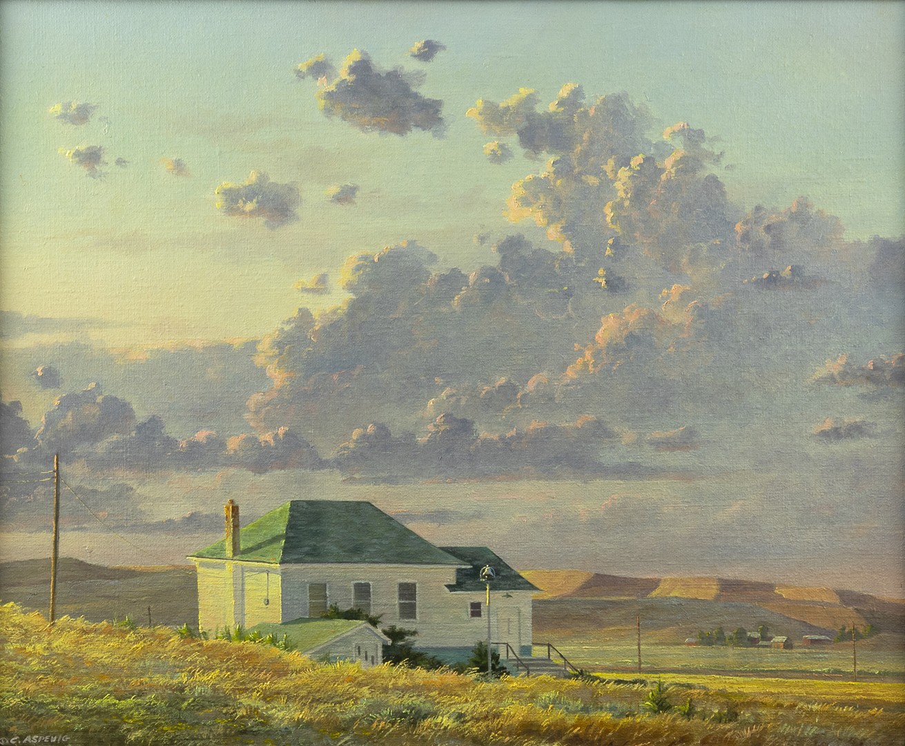 CLYDE ASPEVIG (1951- ), COMMUNITY