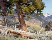 CLYDE ASPEVIG (1951-), OLIVE C