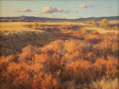 CLYDE ASPEVIG (1951-), STUBBLE