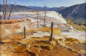 CLYDE ASPEVIG (1951-), THE TER