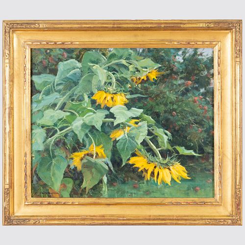 CLYDE ASPEVIG (B. 1951): SUNFLOWERS