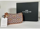Coach Swinger bag in signature