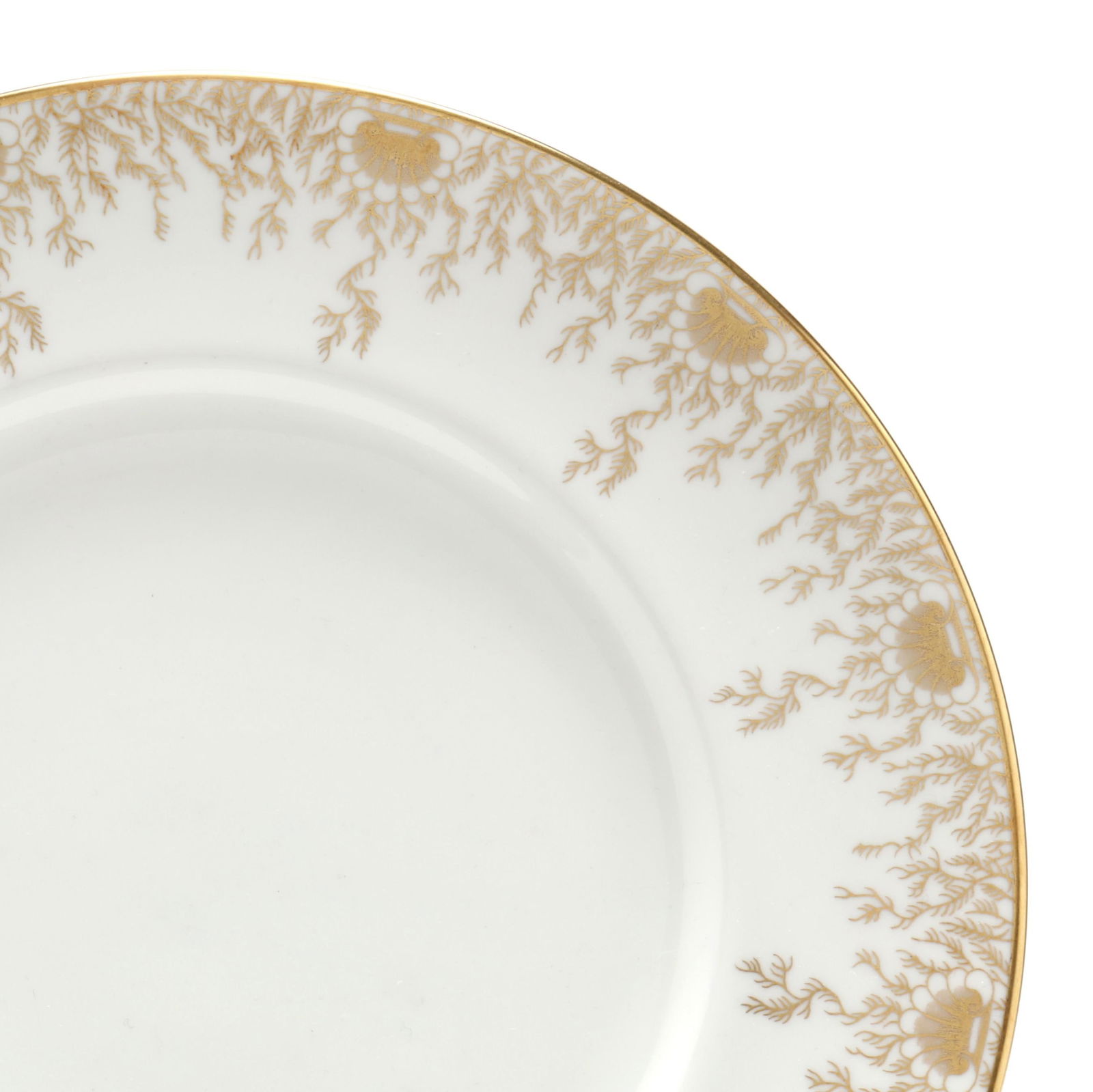 COALPORT  SARGASSO  PORCELAIN