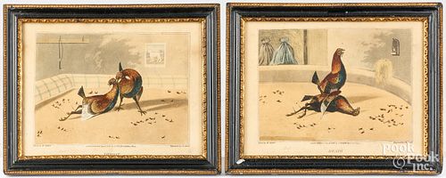 COCK FIGHTING LITHOGRAPHSPair of