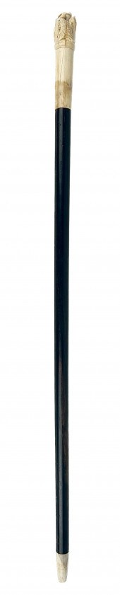 COCKATOO CANE LATE 19TH/EARLY