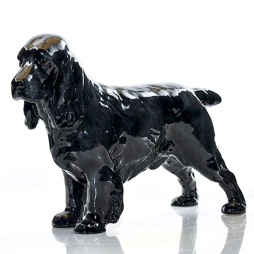COCKER SPANIEL HN1000 - ROYAL