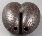 COCO DE MER (LODOICEA MALDIVIC