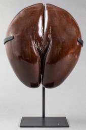 COCO DE MER (LODOICEA MALDIVIC