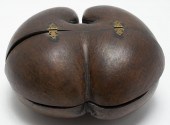 COCO DE MER (LODOICEA MALDIVIC