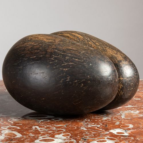 COCO DE MER6 1/2 x 10 x 8 1/2 in.