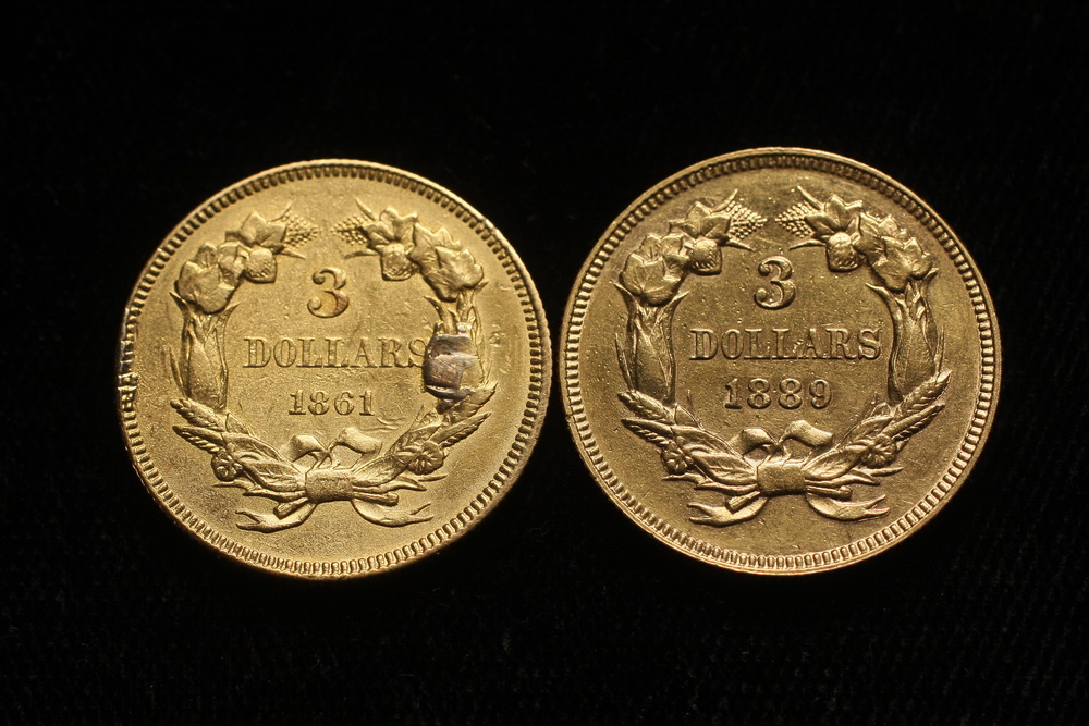 COINS - (2) Indian Princess Head $3