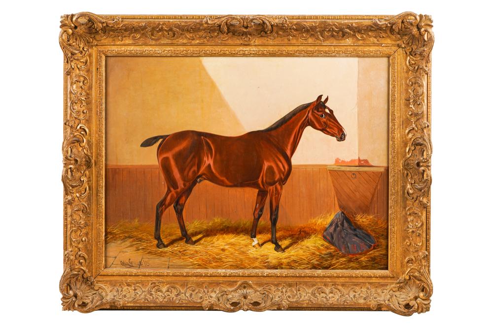 COLIN GRAEME: "STALLION IN A