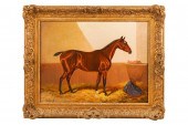 COLIN GRAEME: "STALLION IN A S